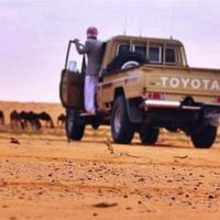 الصوت الأصلي