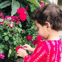 abeehaahmad10