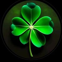 fracesbelicas_oficial