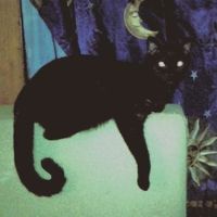 оригінальний звук