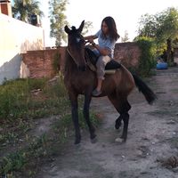 angelina_garcia_1236