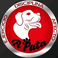 a_pata0