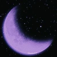 midnightpurple02