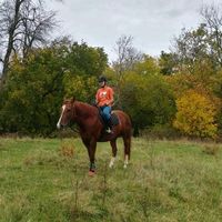 camille_animals