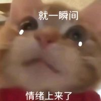 tzu._.o6