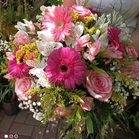 floriculturacamilaflores