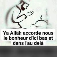sarah_chou7