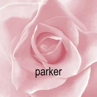 original sound - parkerslyrics