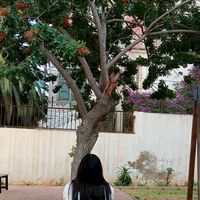 celia_seline