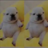 uhhhhhhhhhhhmmmmmmmmm0