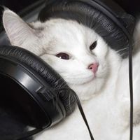 original sound
