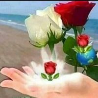 lauratigre771