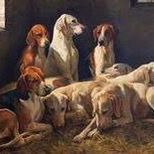 cachorro_urrador