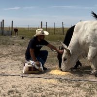 yazzie.360