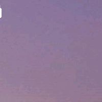 user10939279938