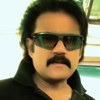 don_mass1