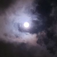 vibeswval