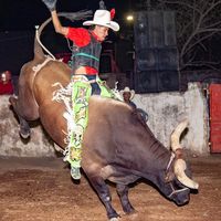 partidaeric