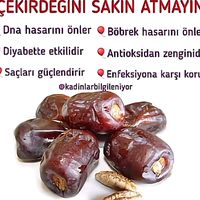 kadimbilgilerlesifa