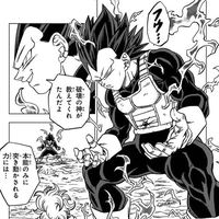 vegetavevo