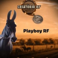 rf.playboy