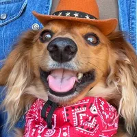 I am your PUPPY by littlehoneybear_