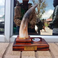 original sound - mngxongo