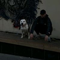 оригінальний звук