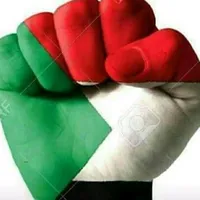 original sound - robic267