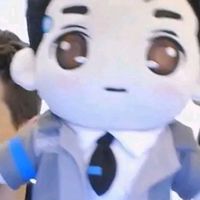 original sound - RK800 Crops