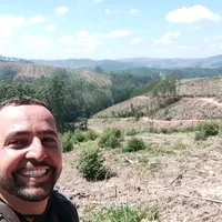 original sound - andrade1885