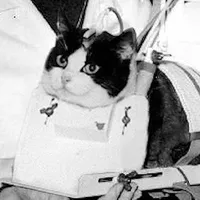 original sound - denim_lover03