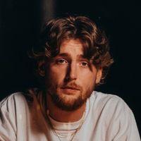 zimmermanfans