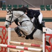 adina.showjumping