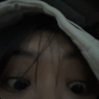 wwwvan.vi