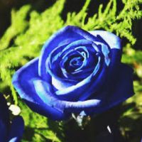 25.02.2021.se
