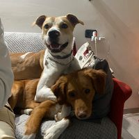 ciak.e.sugo.sigirano