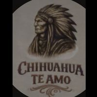 chihuahuateamo
