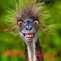 original sound - learn_english_kids