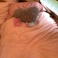 which_one_shall_i_pick