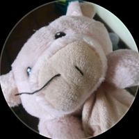 hernandes_el_puerco