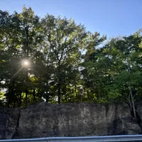 original sound - nr587931aaa