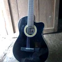 manueldelcid39