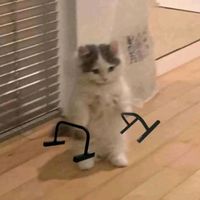 suara asli - Muhammad iip