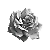 original sound - mzzvxx