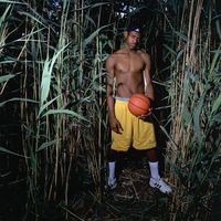 nba_slide_shows