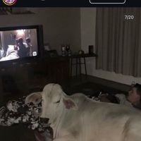 gibby_diamond