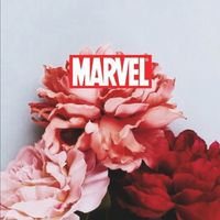 marvel_fanpaxge