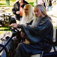 wizards.gone.wild