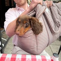 andouillelikethe_sausage